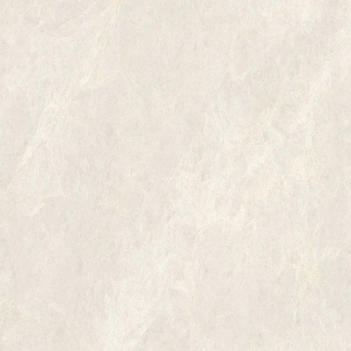 象牙玉蘭